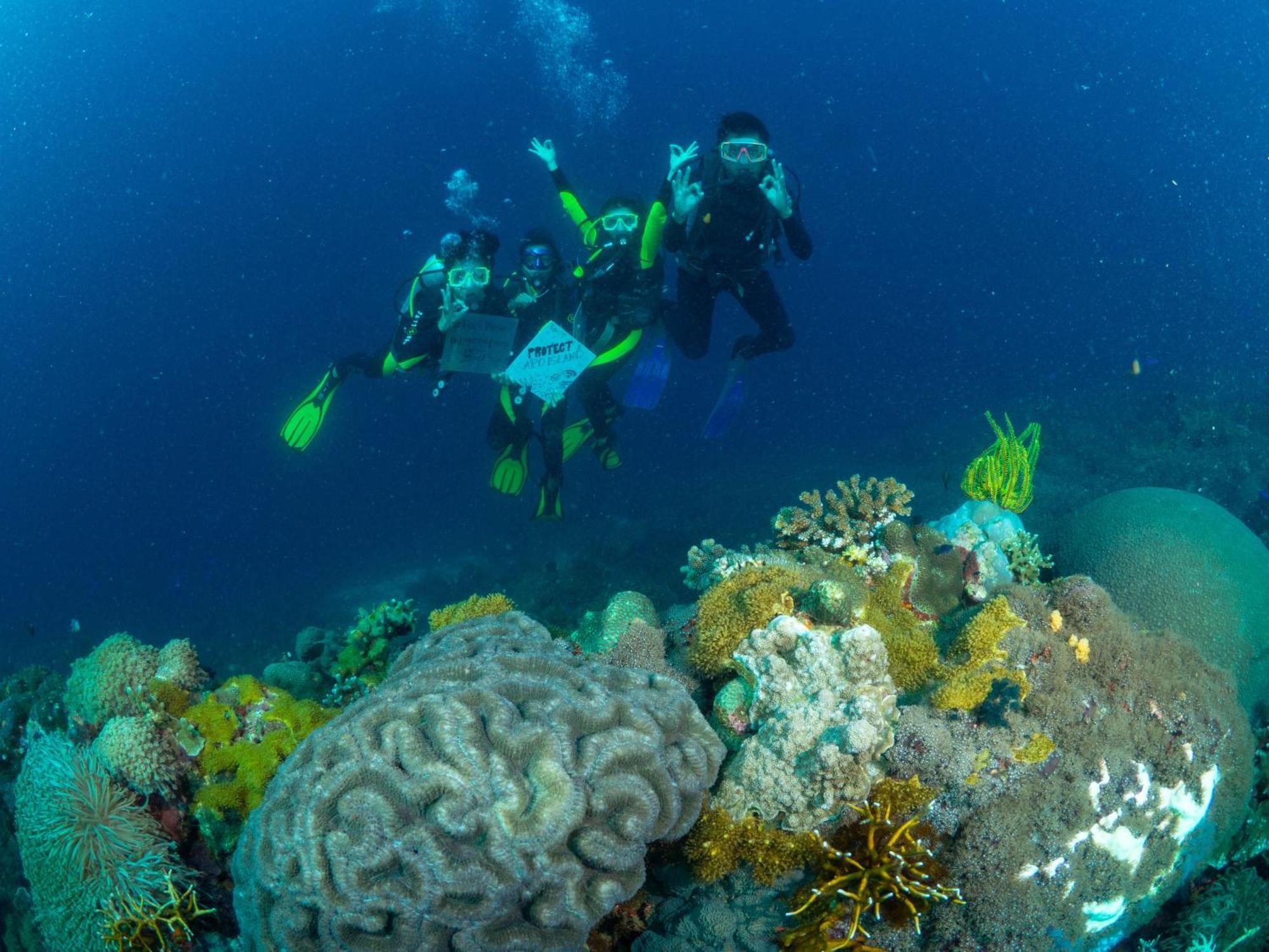 Liberty'S Lodge And Diving - Apo Island Dumaguete City Exterior foto