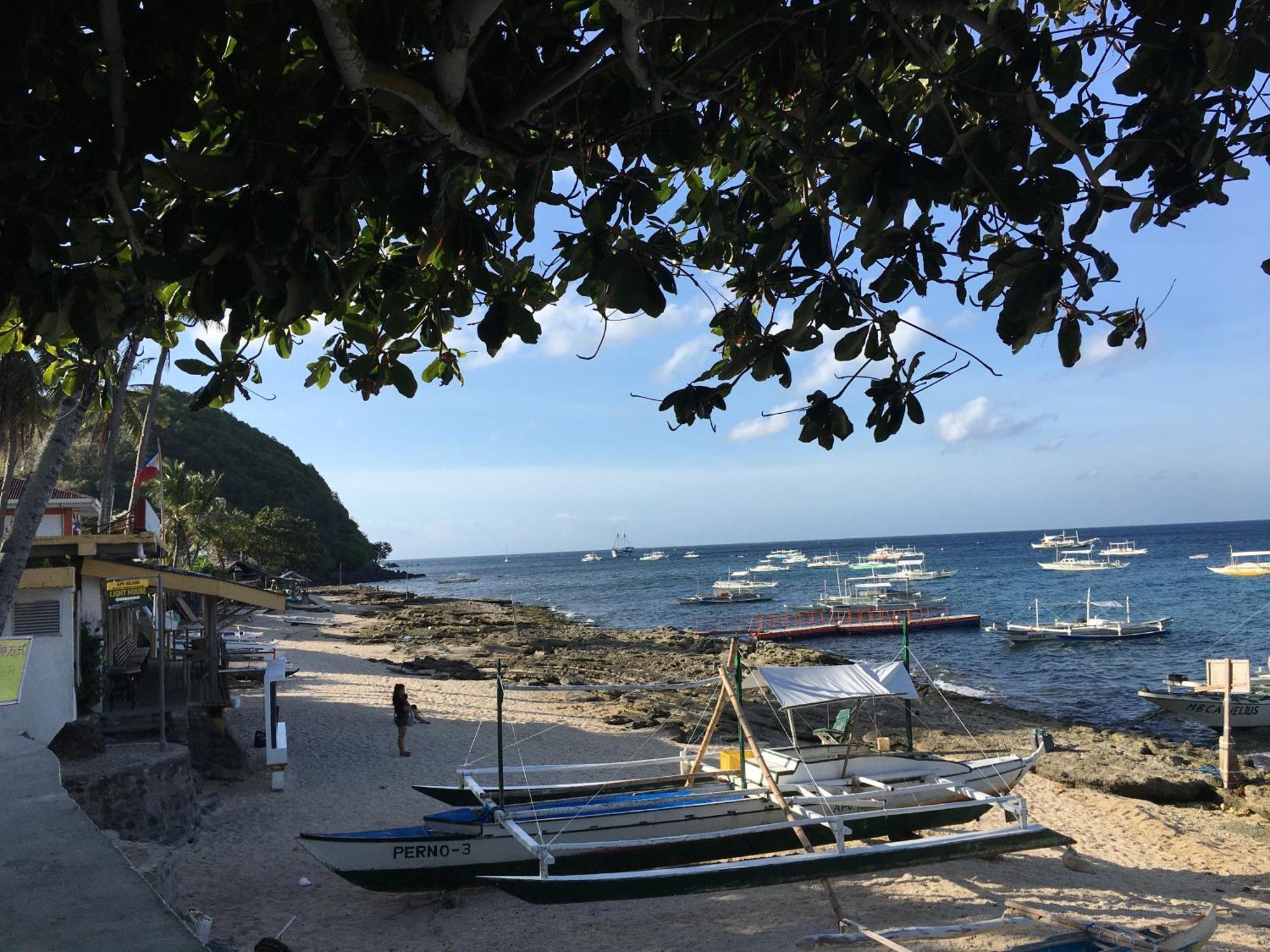 Liberty'S Lodge And Diving - Apo Island Dumaguete City Exterior foto