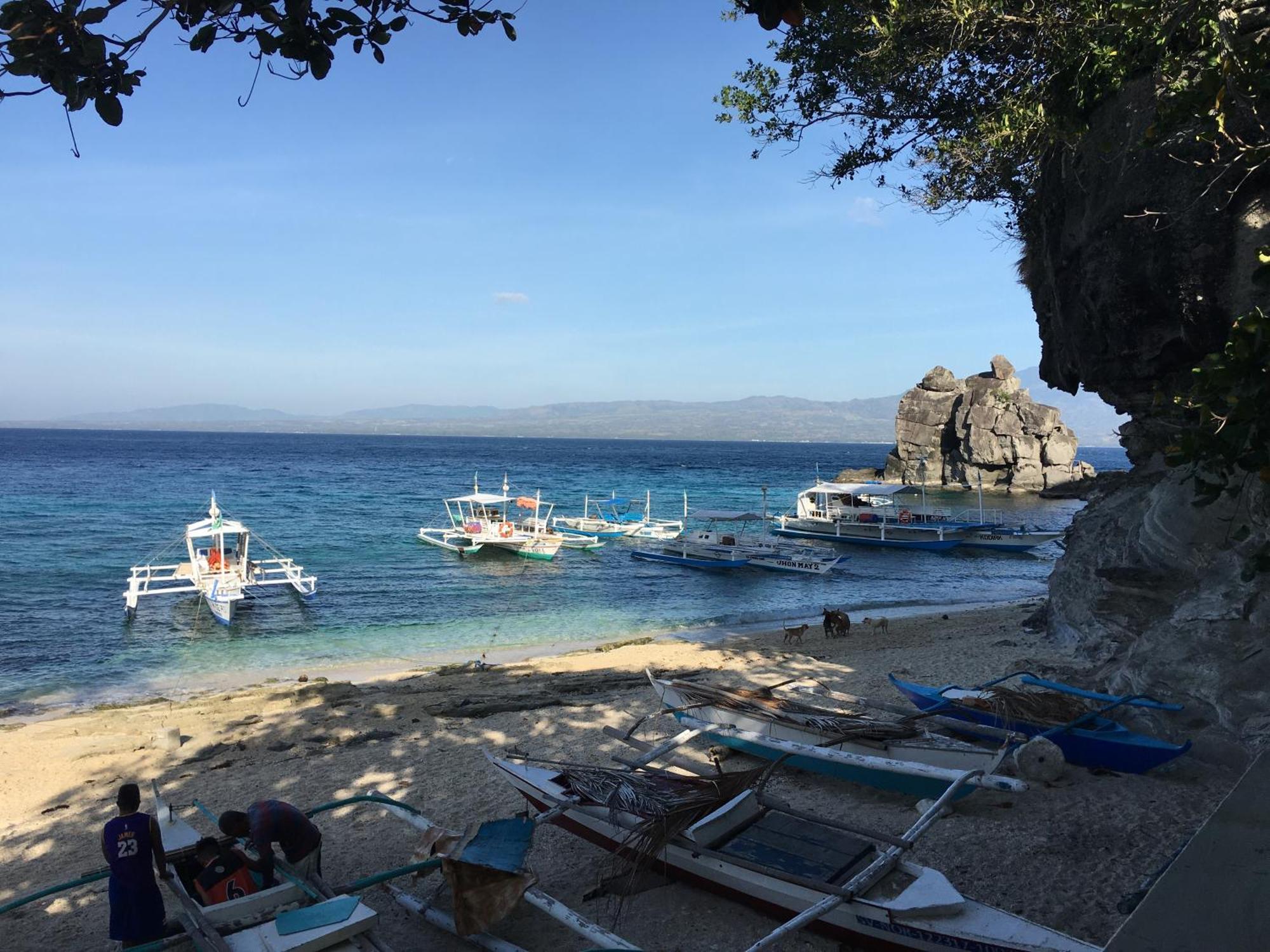 Liberty'S Lodge And Diving - Apo Island Dumaguete City Exterior foto